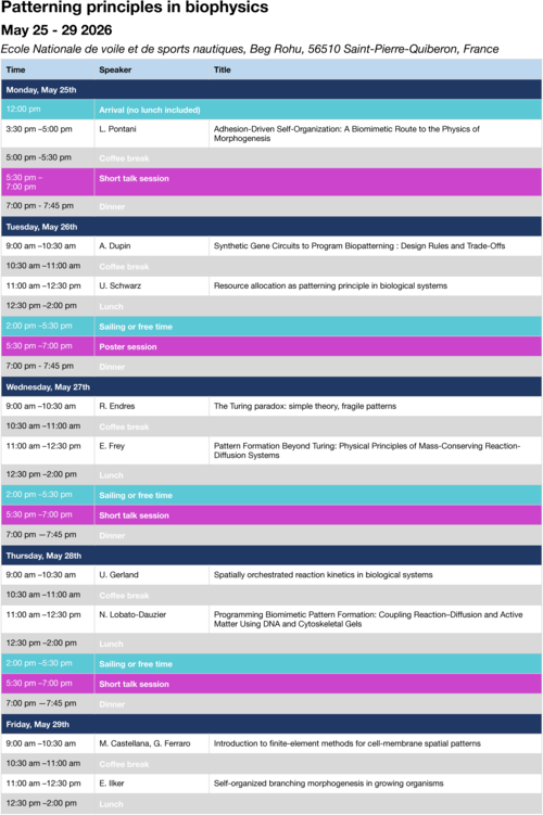 program